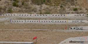 discipline silhouettes metalliques